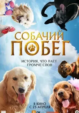 Собачий побег